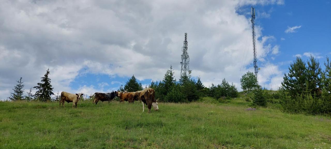 Вила Орцево Vila Ortsevo Exterior foto